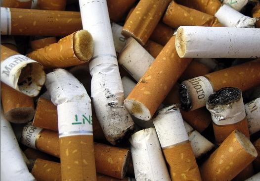 Romania turns up heat on cigarette smuggling - Jan. 19, 2013