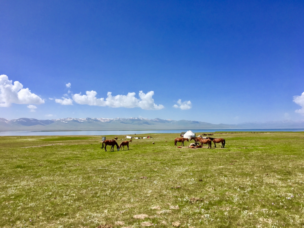 kyrgyz_jailoo2