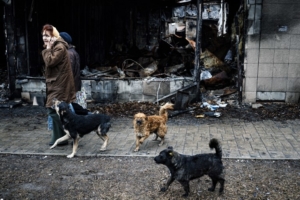 Стая бродячих собак идет за женщиной возле сожженного магазина в Киевском районе Донецка 2 апреля 2015 года. Этот район окупированного пророссийскими сепаратистами города является одним из наиболее пострадавших мест Донбасса в российско-украинской войне. Фото AFP/Scanpix/Leta